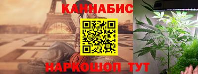 крисы Янаул